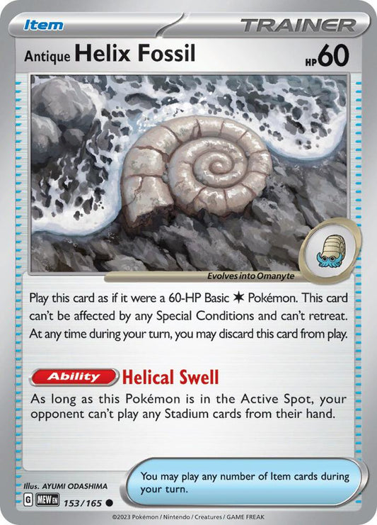 ANTIQUE HELIX FOSSIL